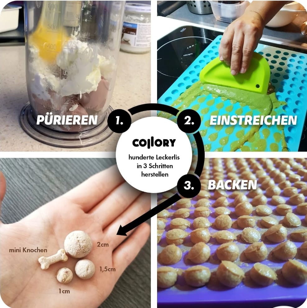 Collory Backmatte - Knochen