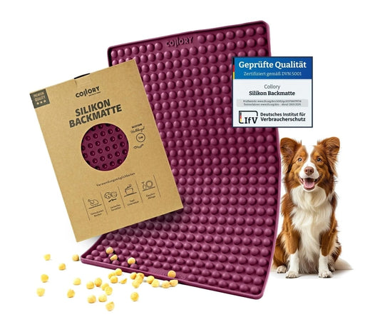 Collory Backmatte - Donut