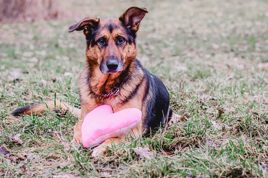 Kuschel-Herzen (Klassisch-ohne Motiv)