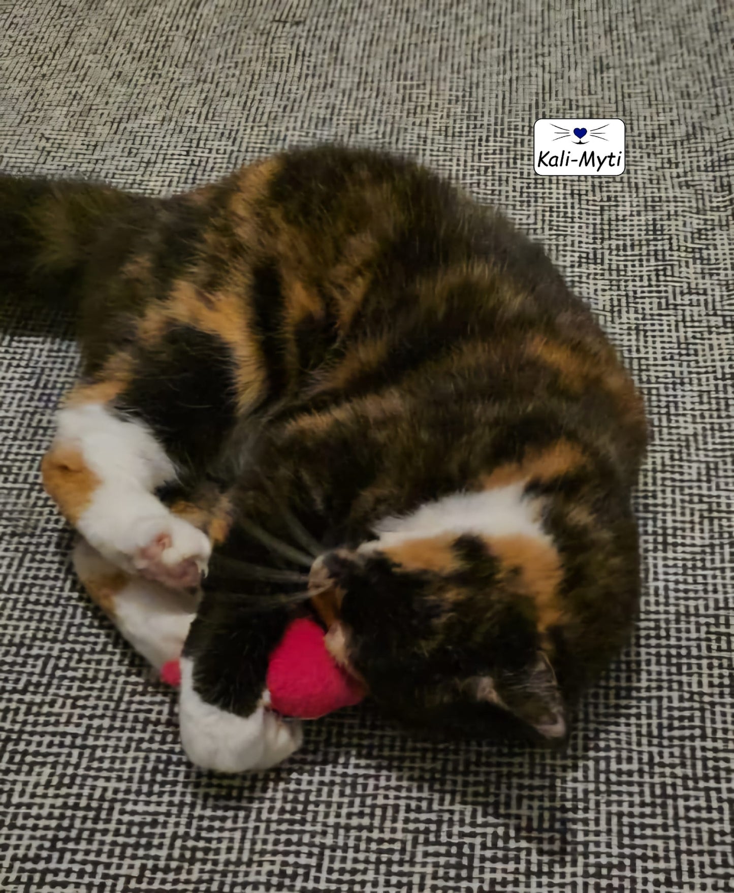 Katzen-Kuschel-Kissen (ohne Duft)