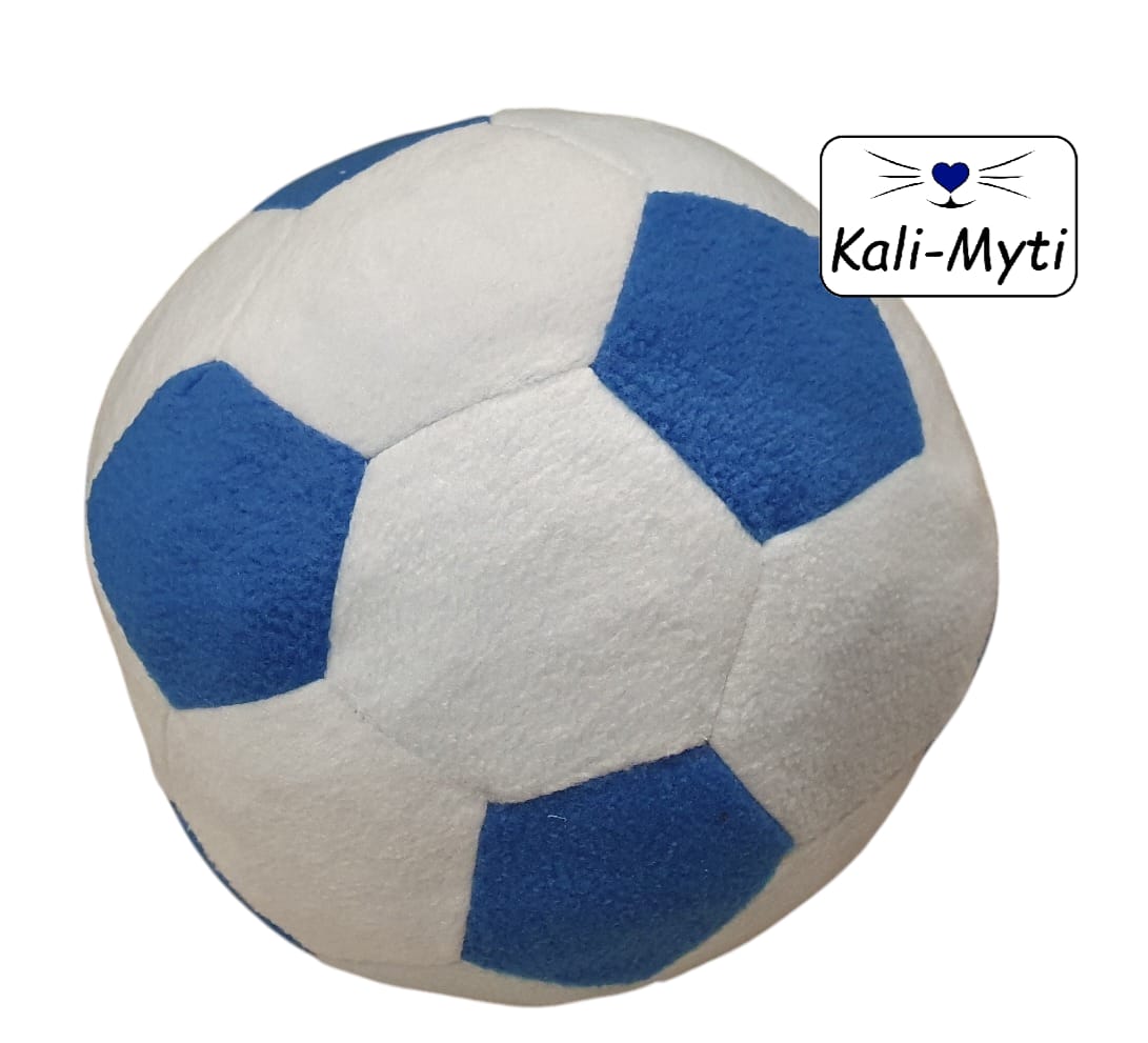 Fußball