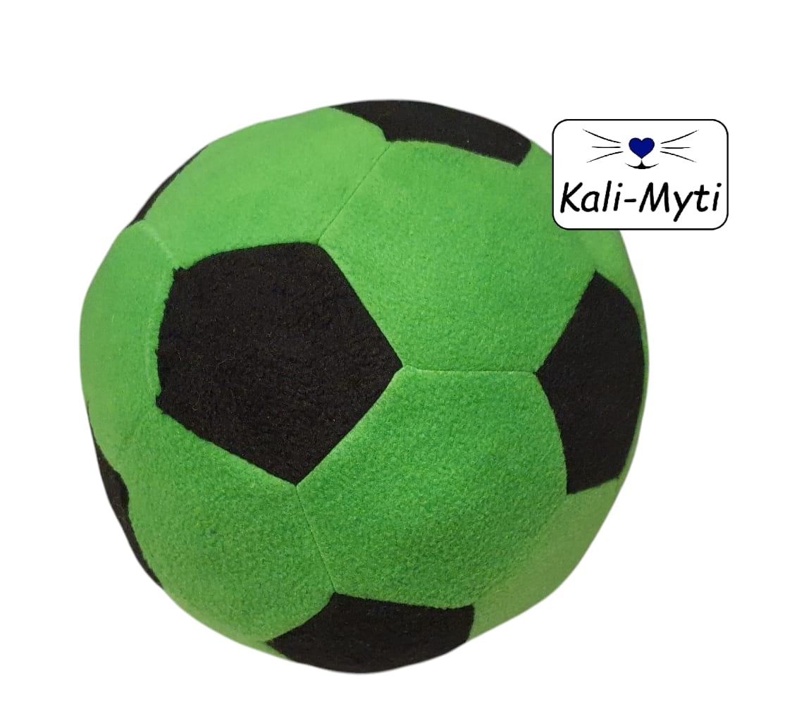 Fußball