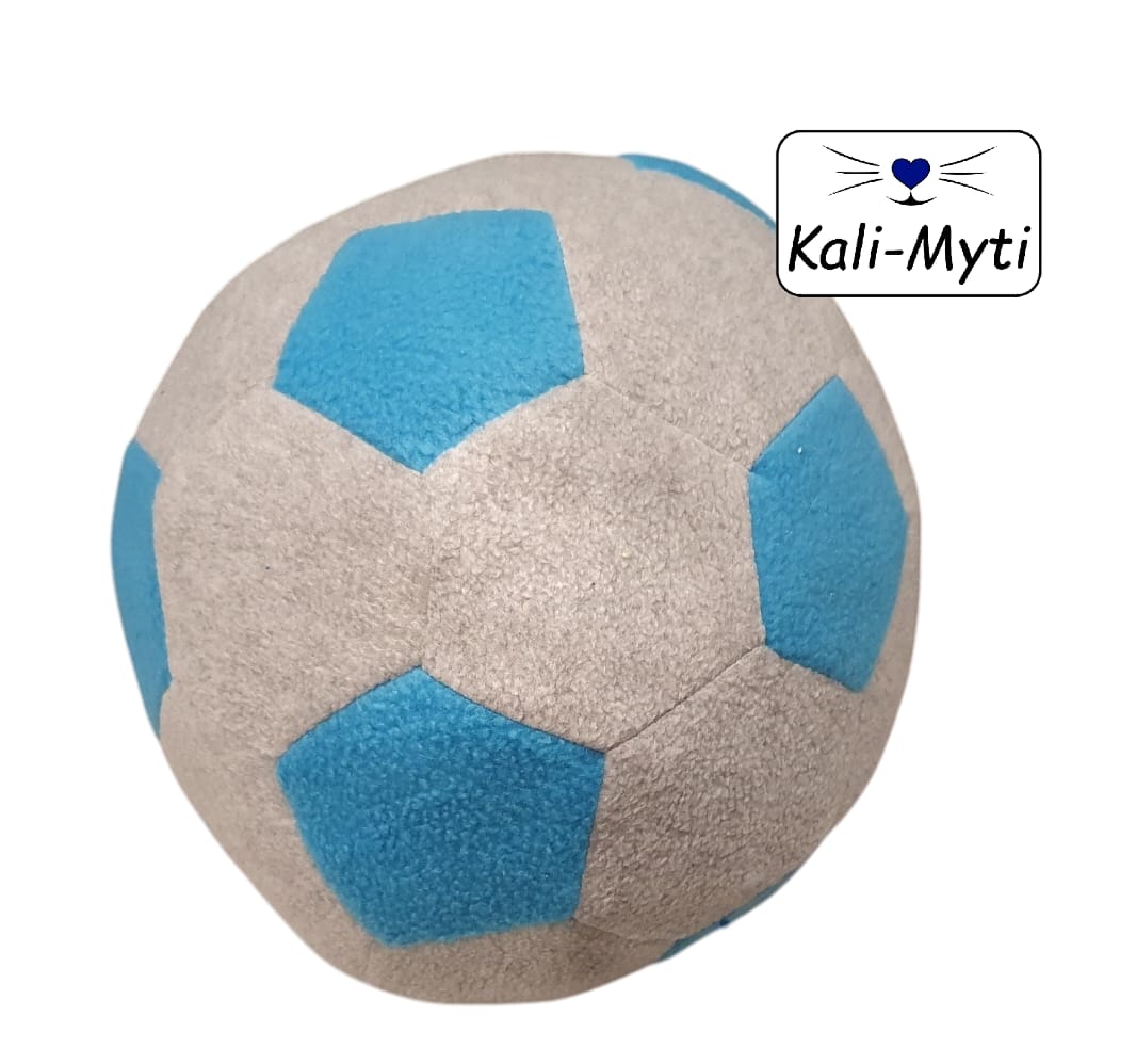 Fußball