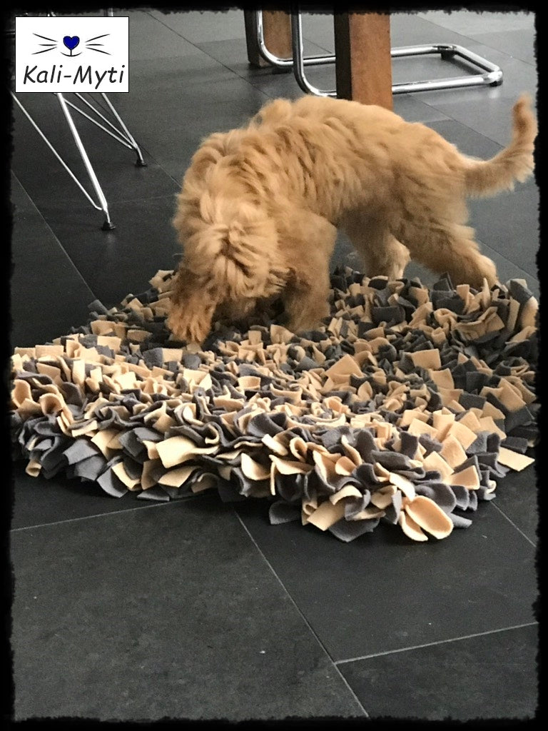 Schnüffelteppich Größe XL