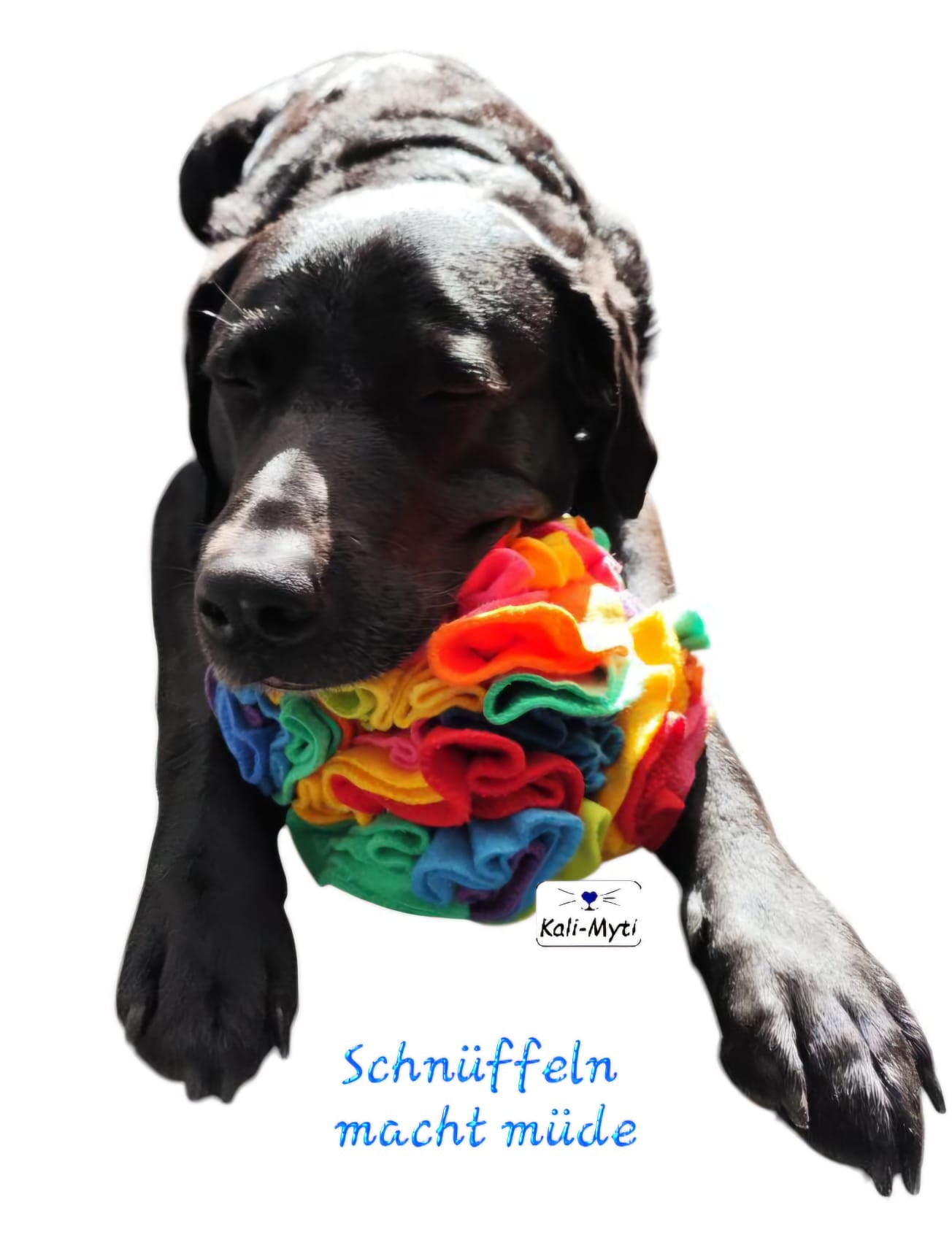 Schnüffelball (ohne Fransen) Gr. L
