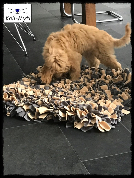 Schnüffelteppich Größe XL