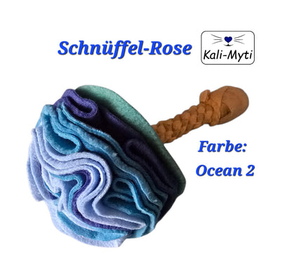 Schnüffel-Rose