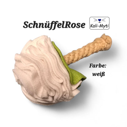 Schnüffel-Rose